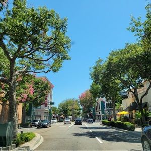 Meet your Posher, Roy